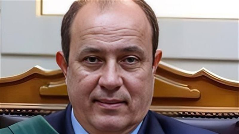 المستشار وجدى عبد المنعم