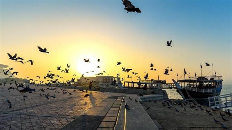 الطقس