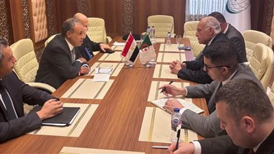 مشاورات مصرية جزائرية في جدة لتعزيز العلاقات وبحث المستجدات الإقليمية