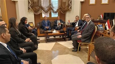 وزير الخارجية يشدد على تسهيل التصويت بانتخابات الشيوخ للجالية المصرية بجدة