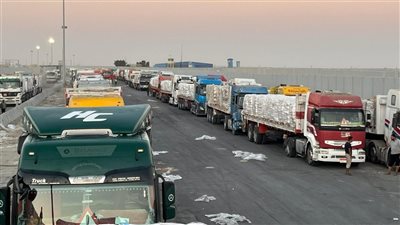 الهلال الأحمر المصري يدفع بأكثر من 3700 طن مساعدات غذائية وإغاثية لغزة