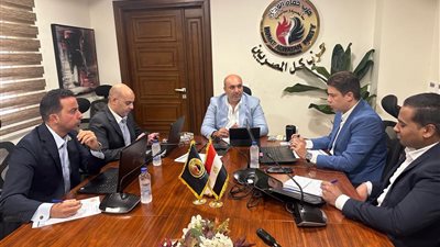 «حماة الوطن» تتابع التصويت في جولة الإعادة بانتخابات مجلس الشيوخ 2025