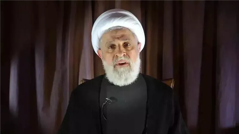 نعيم قاسم 