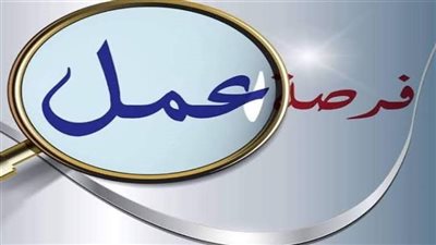 بـ 11 ألف جنيه.. فرص عمل جديدة تعيد الأمل للشباب