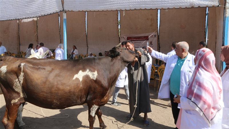 القافلة البيطرية لجامعة الفيوم