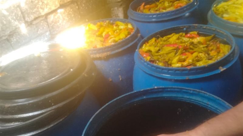 جانب من المضبوطات