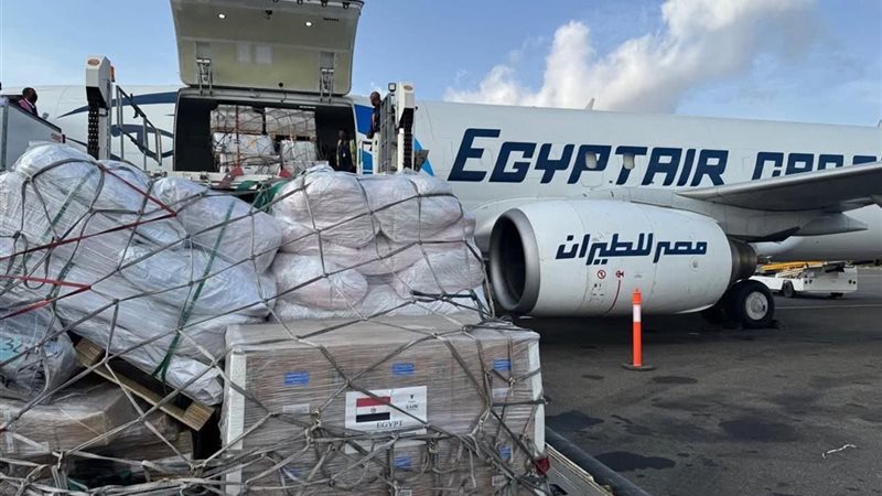 مصر ترسل شحنة مستلزمات طبية إلى إريتريا
