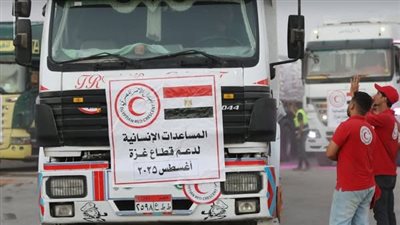 الهلال الأحمر المصري يرسل 3200 طن مساعدات إنسانية إلى غزة