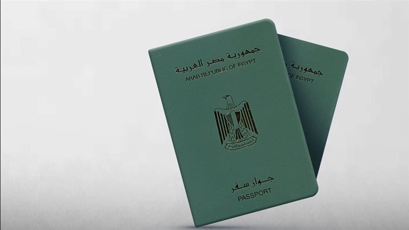 منح الجنسية