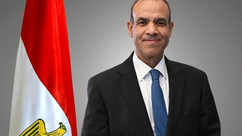 الدكتور بدر عبد العاطي وزير الخارجية