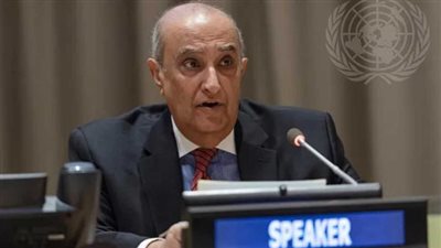 ماجد عبد الفتاح: مبادرة مصرية سعودية لتعزيز الأمن الجماعي العربي