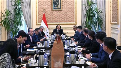 مدبولي يؤكد اهتمام الحكومة بتوطين صناعة مكونات محطات الطاقة الشمسية في مصر 