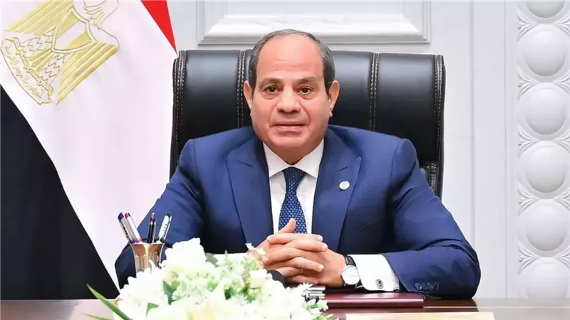  الرئيس عبد الفتاح السيسي 