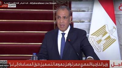 وزير الخارجية يدعو الاحتلال للقبول بمقترح ويتكوف لوقف إطلاق النار
