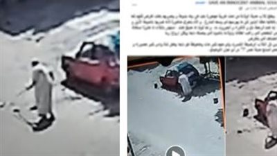 القبض على مسن لتعديه على الكلاب الصغيرة في شوارع مدينة نصر
