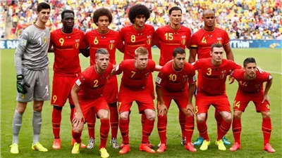 مدرب بلجيكا السابق: لسنا مرشحين لحصد كأس العالم ومواجهة مصر صعبة