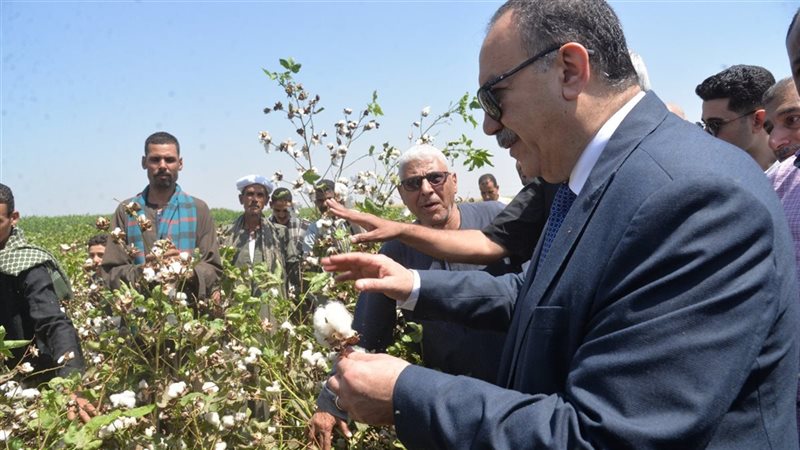 محافظ أسيوط يفتتح موسم جني القمح