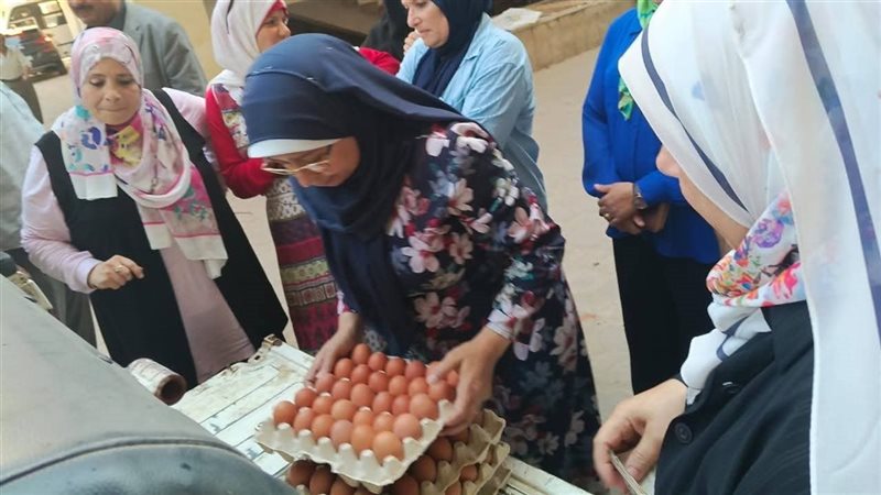 منافذ بيع البيض