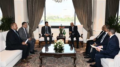 أحمد أبو الغيط يبحث مع وزيري الرياضة المصري والفلسطيني آفاق العمل العربي المشترك