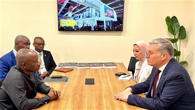 مباحثات مصرية نيجيرية لزيادة الاستثمارات المشتركة في الطاقة.. تفاصيل