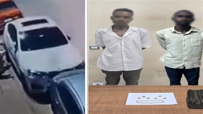 الأمن يضبط أجنبيين كسرا زجاج سيارة وسرقا محتوياتها في الجيزة