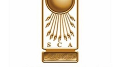 الأعلى للآثار: الموسيقى النوبية مرآة تعكس تاريخًا ووجعًا وحلمًا