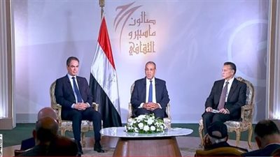 وزير الخارجية: انتهاكات صارخة تهدد مبدأ سيادة الدول في العلاقات الدولية