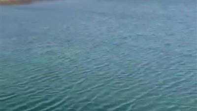 مصدر بوزارة الري يكشف لـ «الجمهور» آخر تطورات بحيرة البهنسا الجديدة