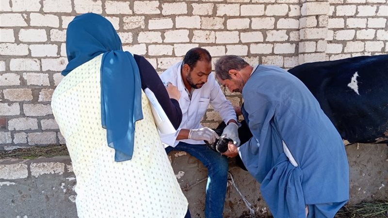   حملات الطب البيطرى بالفيوم