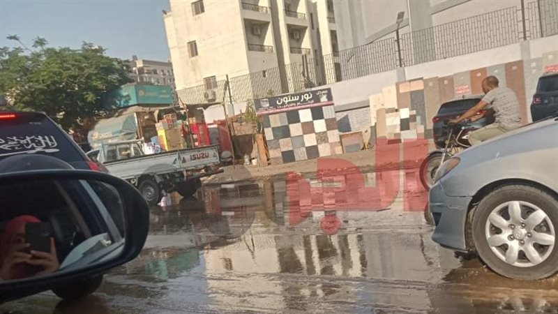 صورة من الواقع