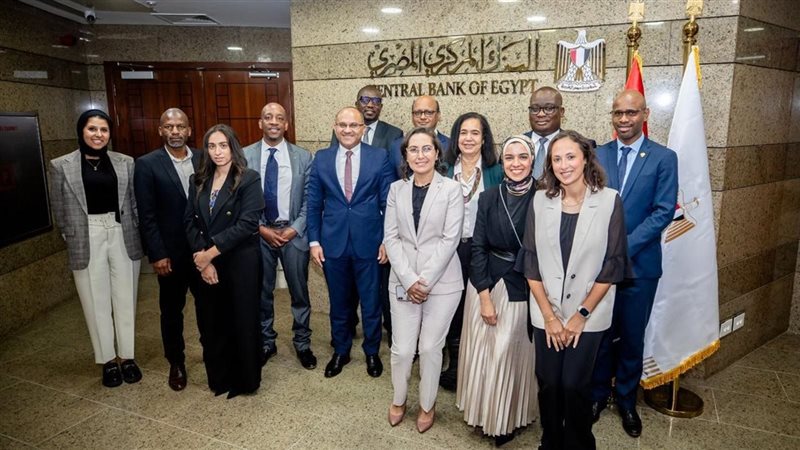 البنك المركزي المصري 