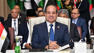 الرئيس السيسي: نرفض تهجير الفلسطينيين .. والعدوان على قطر خط أحمر