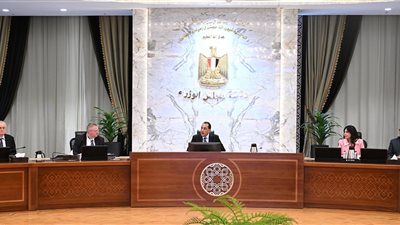 رئيس الوزراء يبحث إنشاء منطقة صناعية روسية ومستجدات العمل في «الضبعة النووية»