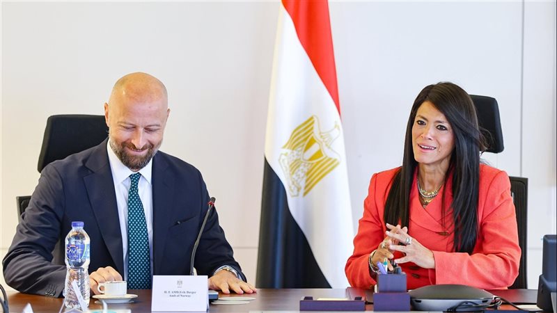 وزيرة التخطيط