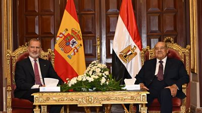 خلال استقباله ملك إسبانيا.. رئيس «الشيوخ» يؤكد اعتزازه بالعلاقات التاريخية بين البلدين