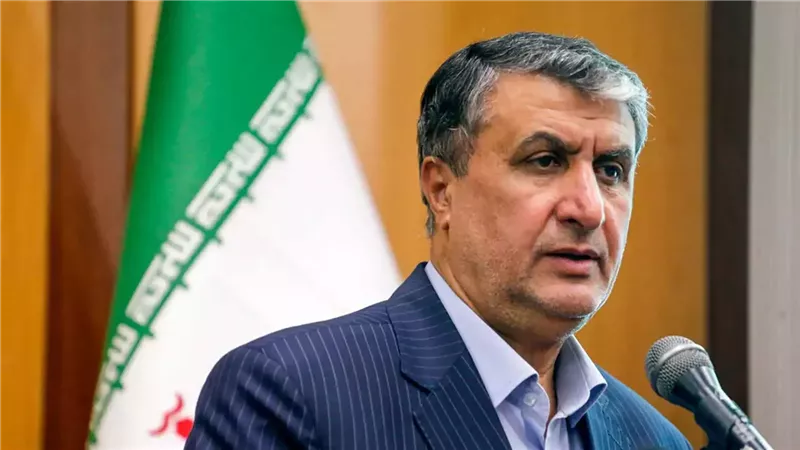 رئيس منظمة الطاقة الذرية الإيرانية، محمد إسلامي