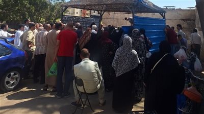 محافظ الدقهلية: أسعار السمك بالسوق الدائم تبدأ من 50 جنيها وتخفيضات للسلع تصل لـ30%