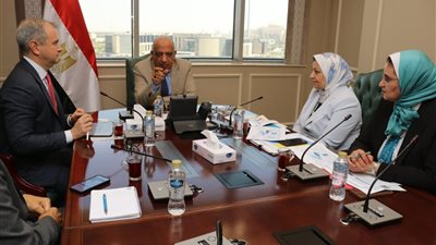 وزير الكهرباء يبحث مع «الكازار» الإماراتية تعزيز التعاون بمشروعات الطاقة المتجددة