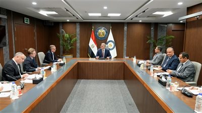 تعاون «مصري - أمريكي»  في مجال الطاقة المتجددة وصناعة البتروكيماويات