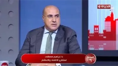 إبراهيم مصطفى: سنغافورة تمتلك منظومة متقدمة لإدارة الموانئ