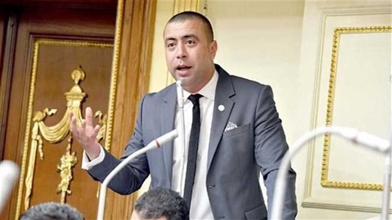 النائب أحمد بهاء شلبي