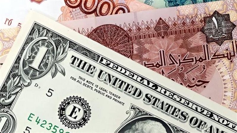 الدولار مقابل الجنيه المصري