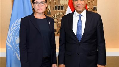 وزير الخارجية: القاهرة وفّرت نحو 70% من إجمالي المساعدات الإنسانية لقطاع غزة
