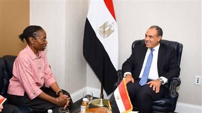 وزير الخارجية يشدد على رفض مصر القاطع لأي محاولات للمساس بأمن المنطقة