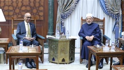 شيخ الأزهر ورئيس سنغافورة يؤكدان مواصلة التحرك الدولي لوقف العدوان على غزة