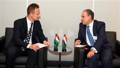مصر تعوّل على الاتحاد الأوروبي في الضغط على إسرائيل لوقف إطلاق النار في غزة 