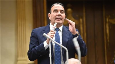 أيمن أبو العلا : الحبس الاحتياطي إجراء احترازي لحماية المجتمع وليس عقوبة