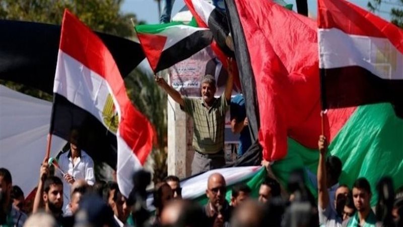 دور مصر في تقديم المساعدات الإنسانية لغزة