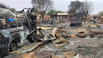 باحث سوداني: ميليشيا الدعم السريع ارتكبت إبادة جماعية مروعة ضد المدنيين في الفاشر