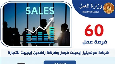 وزارة العمل تعلن فرصة عمل للفتيات في شركات القطاع الخاص.. تعرف عليها
